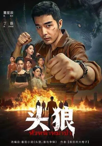 头狼