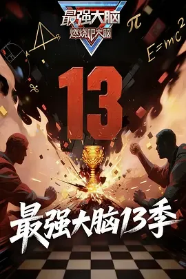 最强大脑 第十三季